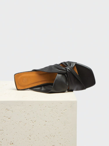The Fisk Slide by Coclico