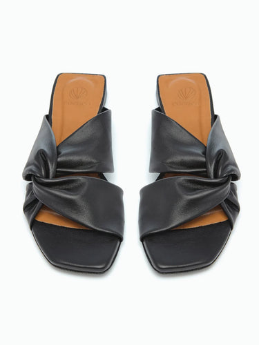 The Fisk Slide by Coclico